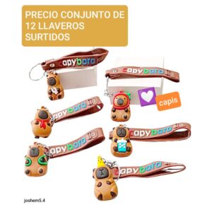 Joshem 5. 4.   Precio conjunto de 12 llaveros surtidos