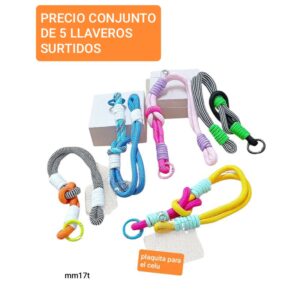 Mm17t.precio conjunto de 5 llaveros surtidos