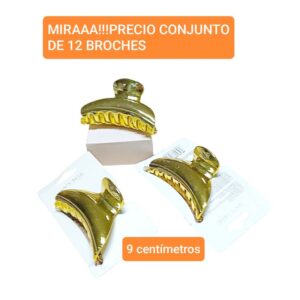 PRECIO conjunto de 12 broches