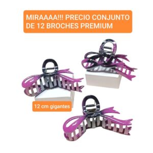PRECIO conjunto de 12 broches