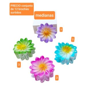 Luc159916.precio conjunto de 12 broches surtidos