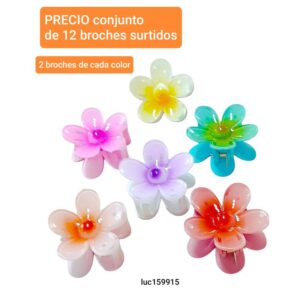 Luc159915.precio conjunto de 12 broches surtidos