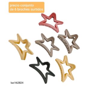 Luc162824.precio conjunto de 6 broches surtidos